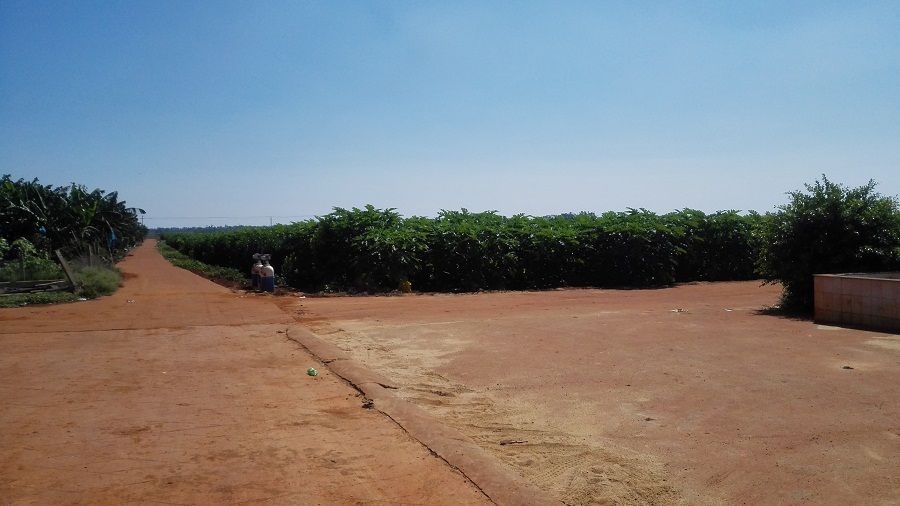 廣東徐聞縣行業(yè)級(jí)農(nóng)業(yè)科技示范園嫁接智慧農(nóng)業(yè)實(shí)現(xiàn)智能種植管理