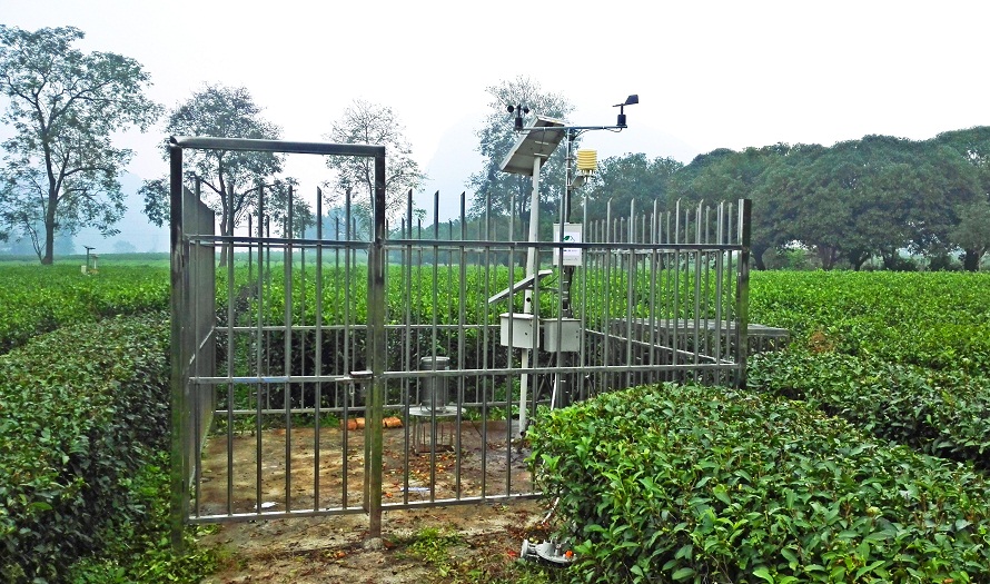 廣西桂林茶葉研究所借助智慧農(nóng)業(yè)技術(shù)開展精細化種植