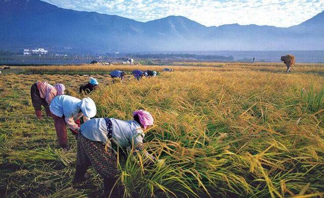 װȫ¼lҵˮsȫԴԴ^ѿƷ|(zh)