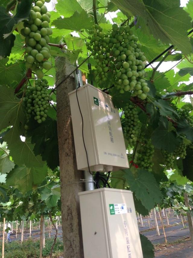 ďUķ֮ш@ҲܞI(y)^(yng)(yu)|(zh)ꖹõ