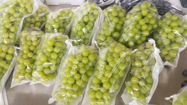 ďUķ֮ш@ҲܞI(y)^(yng)(yu)|(zh)ꖹõ