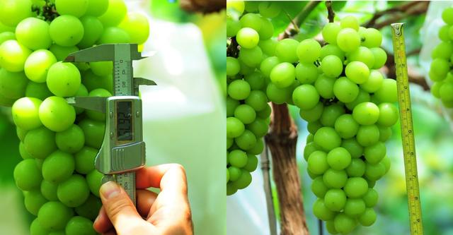 ďUķ֮ш@ҲܞI(y)^(yng)(yu)|(zh)ꖹõ