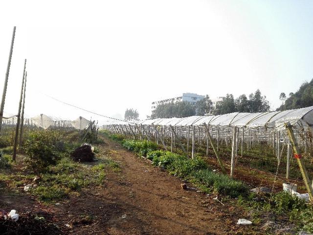 ďUķ֮ш@ҲܞI(y)^(yng)(yu)|(zh)ꖹõ