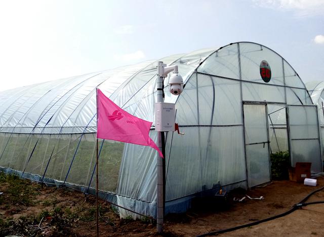 ЇW(wng)y읙_RNܷNֲ