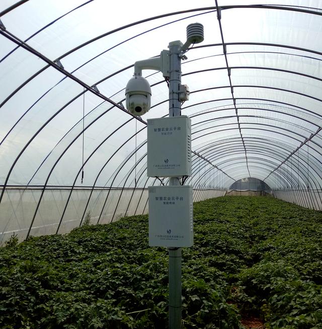 ЇW(wng)y읙_RNܷNֲ