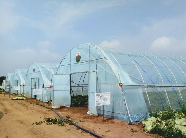 ЇW(wng)y읙_RNܷNֲ