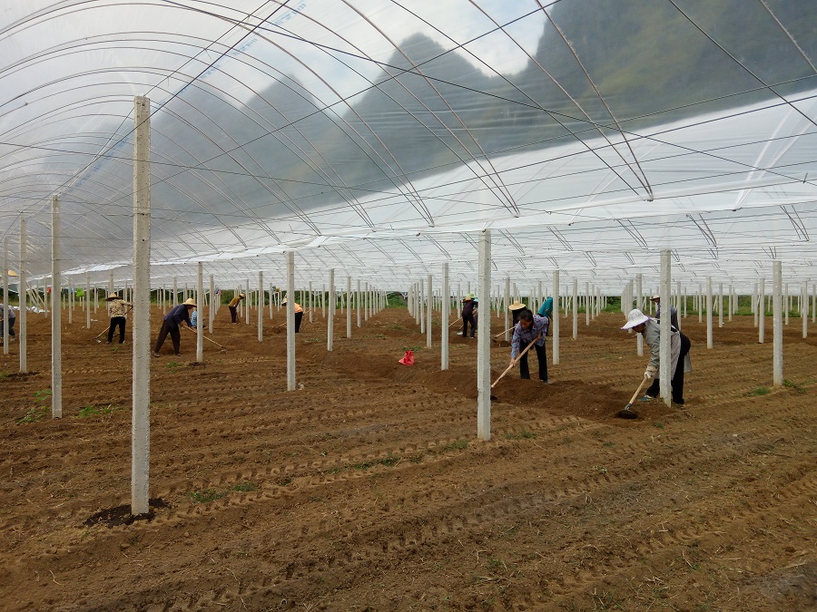 a(chn)I(y)ؚʾǻr(nng)I(y)(bio)(zhn)a(chn)