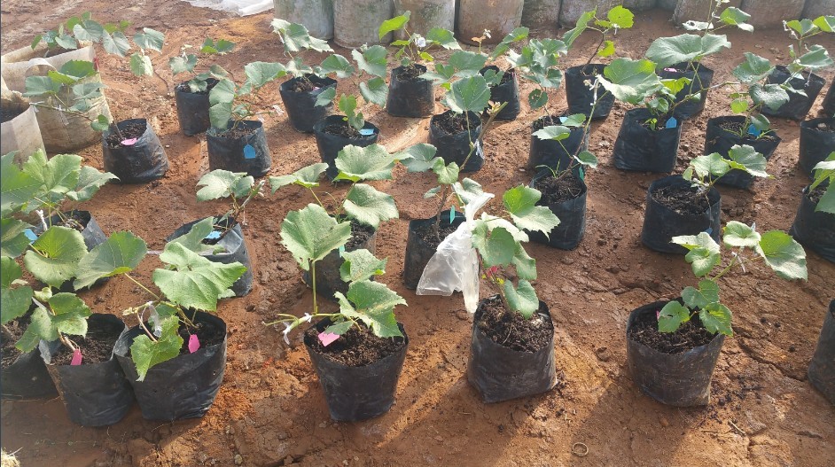 a(chn)I(y)ؚʾǻr(nng)I(y)(bio)(zhn)a(chn)