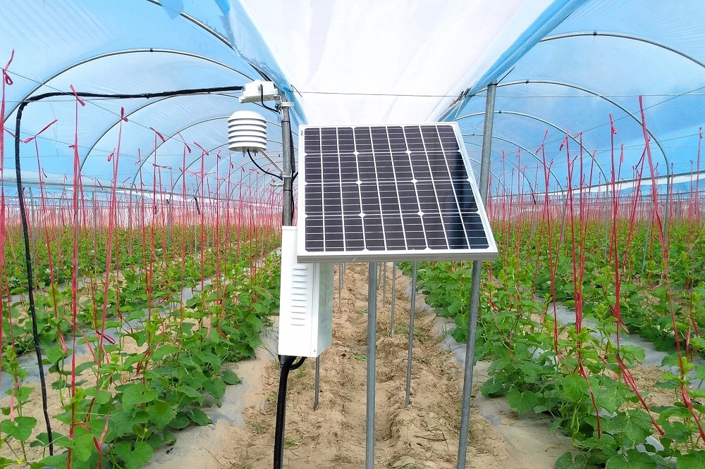 ǻr(nng)I(y)ֺǹƼͨa(chn)cN(xio)