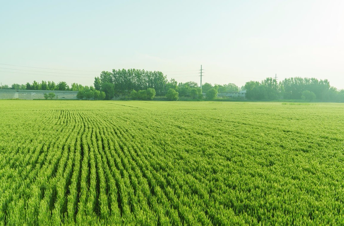 vʷӛĿyS^(q)ǻr(nng)I(y)Ŀ܇ɞһ