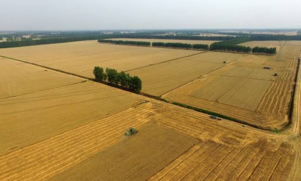 vʷӛĿyS^(q)ǻr(nng)I(y)Ŀ܇ɞһ