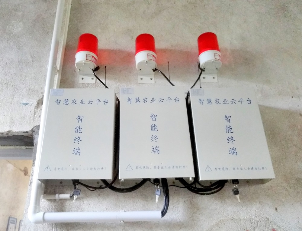 vʷӛĿyS^(q)ǻr(nng)I(y)Ŀ܇ɞһ