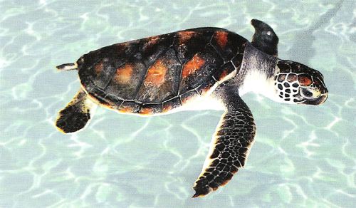 һһƷSɳM塱oǻr(nng)I(y)MȫԴ