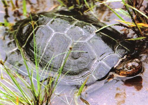 һһƷSɳM塱oǻr(nng)I(y)MȫԴ