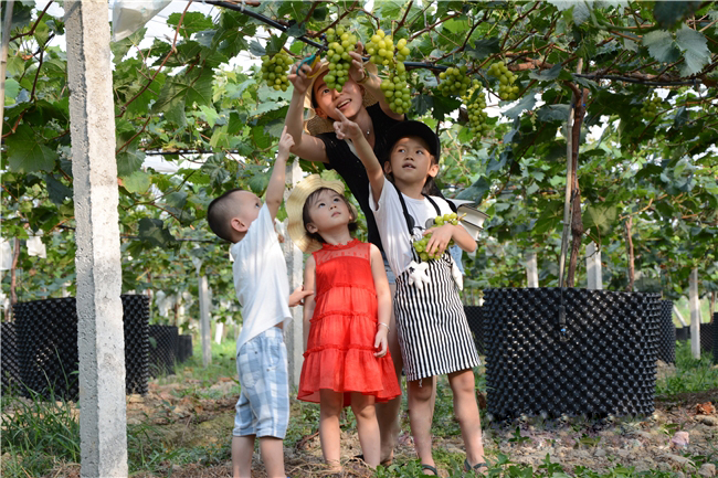 읙(rn)ѹܼҷؚʾء|mhɽ^(q)ꖹõш@һժ