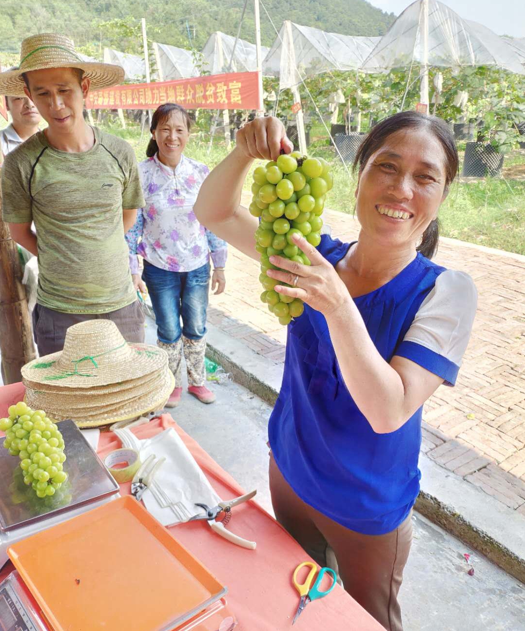 읙(rn)ѹܼҷؚʾء|mhɽ^(q)ꖹõш@һժ