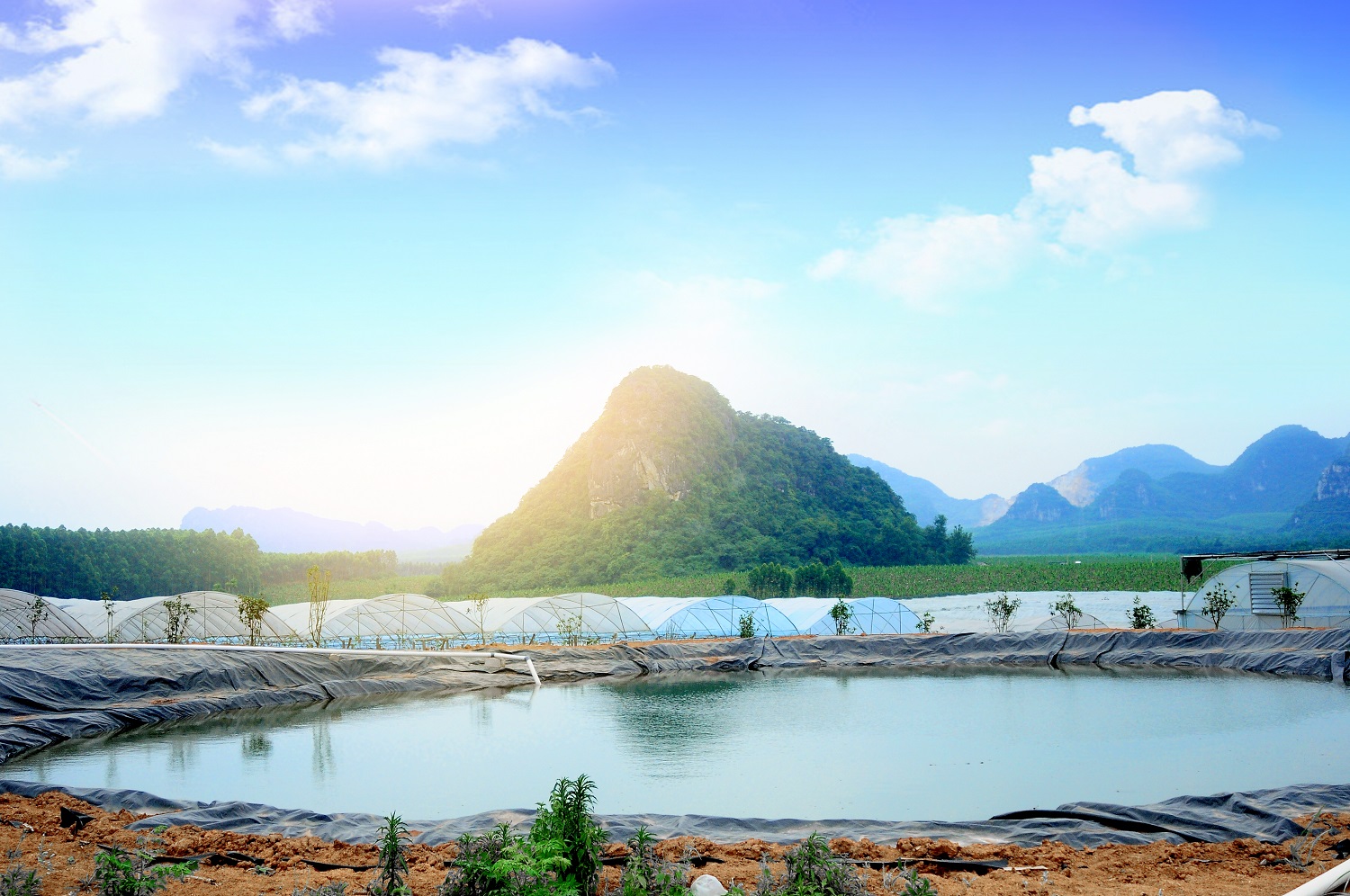 읙(rn)a(chn)(sh)(yn)؏ķNNƷ|(zh)(yng)õϼ̳