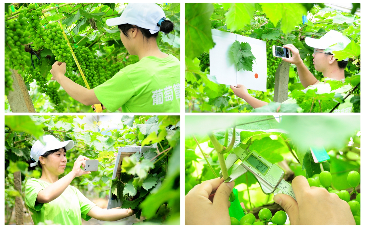 읙(rn)a(chn)(sh)(yn)؏ķNNƷ|(zh)(yng)õϼ̳