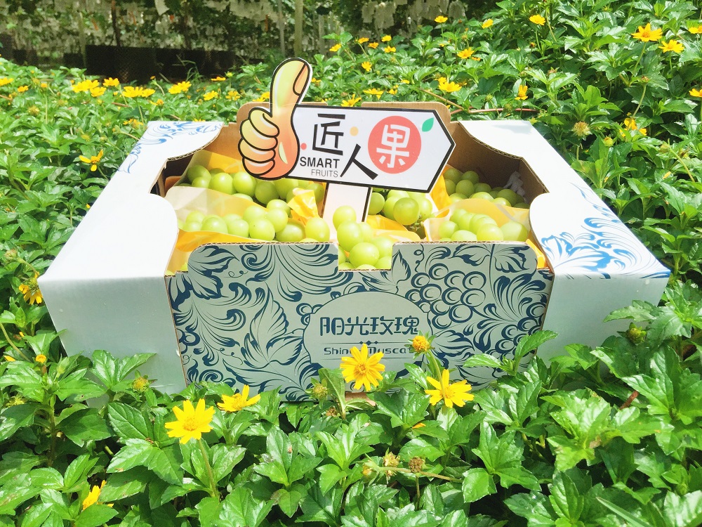 읙(rn)a(chn)(sh)(yn)؏ķNNƷ|(zh)(yng)õϼ̳