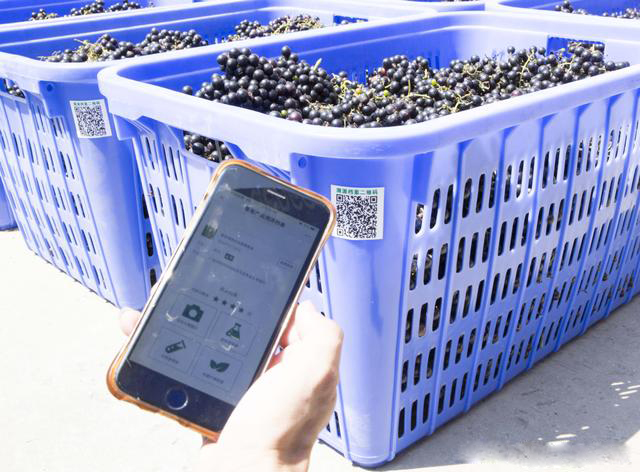 Vr(nng)a(chn)ƷԴ_Nͨ·Ұɽ߳ɽ