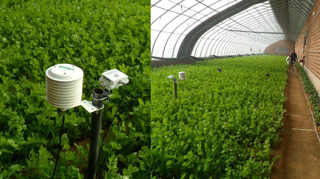 CҴF(xin)rI(y)ʾ@_ǻrI(y)˜ʻNֲ