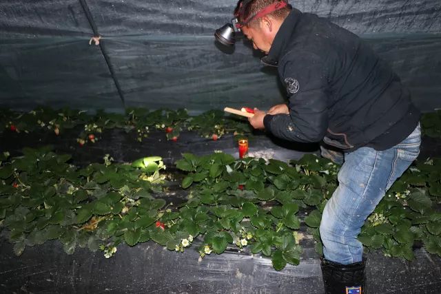 ʹݮֵcıǈԶƵĘ(bio)(zhn)