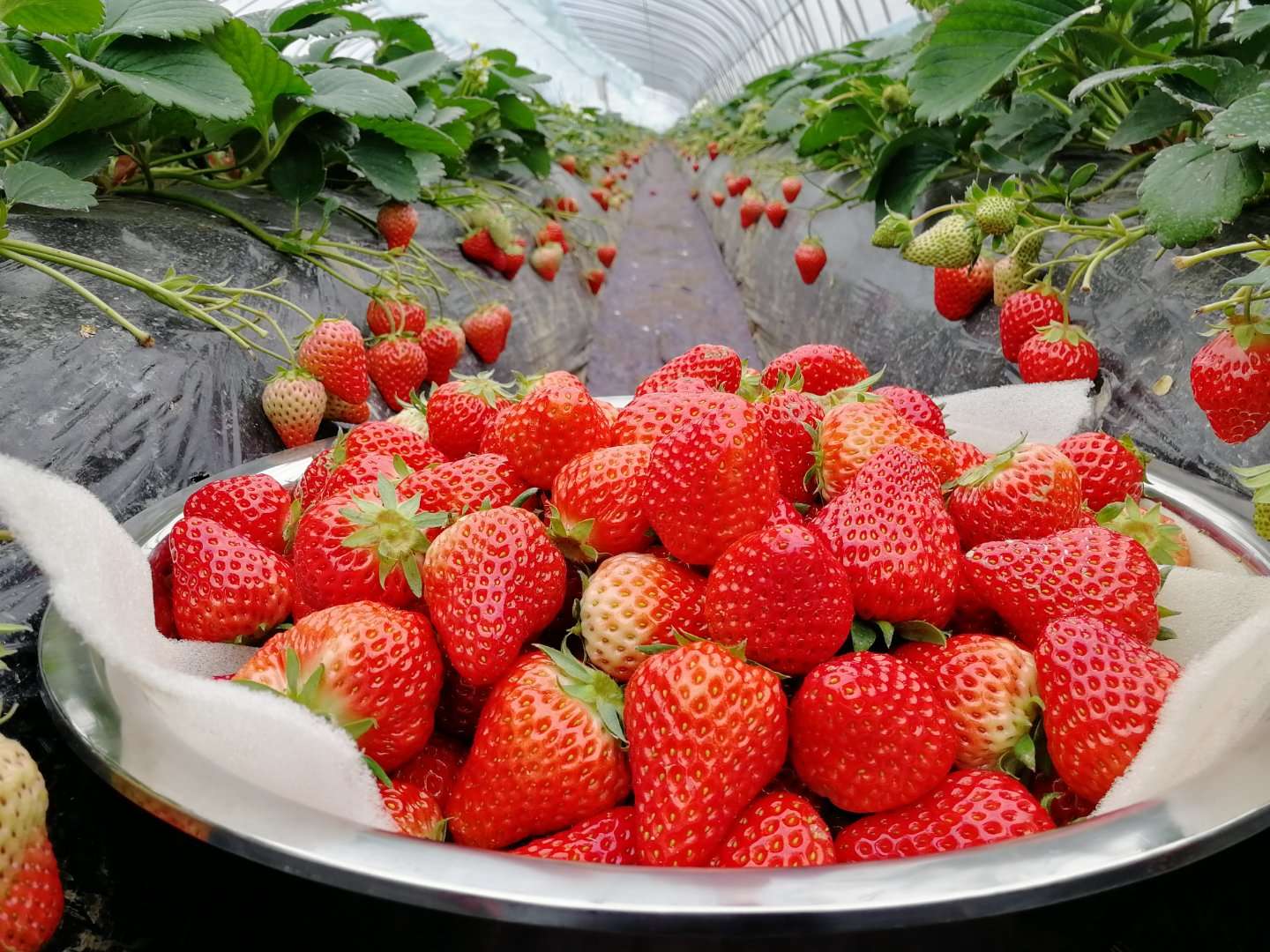 ʹݮֵcıǈԶƵĘ(bio)(zhn)