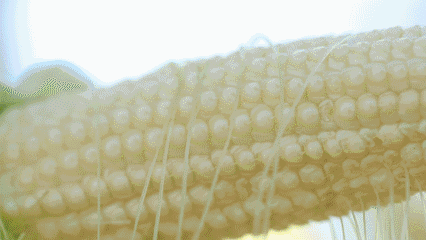 ΢ˮסHζٵĄ(chung)ǘ(bio)(zhn)Nֲ(j)