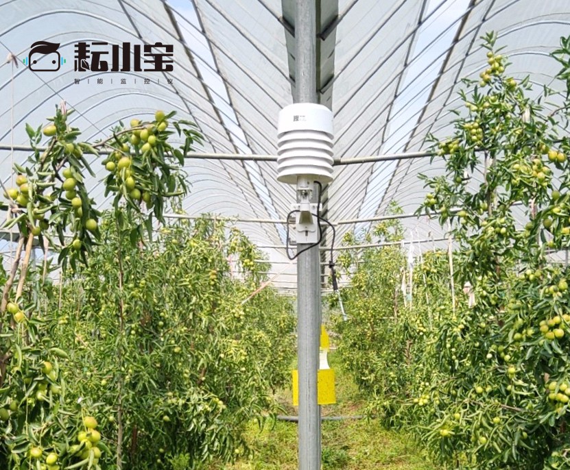 읙(rn)ܱO(jin)؃xС(w)(yu)(lin)ԃr(ji)ȳߣr(nng)ֵÓ