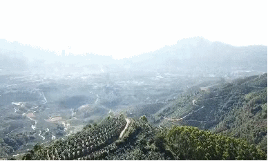 Сǻ۹I(y)a(chn)ƹءtǰA