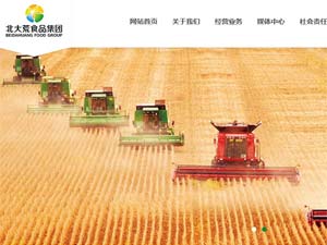 北大荒食品集團(tuán)網(wǎng)站建設(shè) 北大荒食品集團(tuán)網(wǎng)站建設(shè)