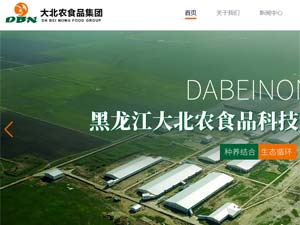 大北農(nóng)食品集團(tuán)網(wǎng)站建設(shè) 大北農(nóng)食品集團(tuán)網(wǎng)站建設(shè)