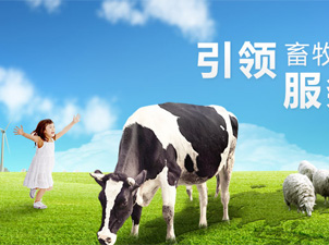 中國(guó)牧工商總公司網(wǎng)站建設(shè) 中國(guó)牧工商總公司網(wǎng)站建設(shè)