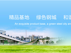 太原鋼鐵集團(tuán)有限公司網(wǎng)站建設(shè) 太原鋼鐵集團(tuán)有限公司網(wǎng)站建設(shè)