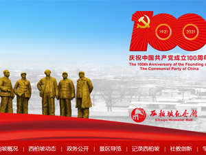 ¼tɫ΅^(q)W(wng)վO