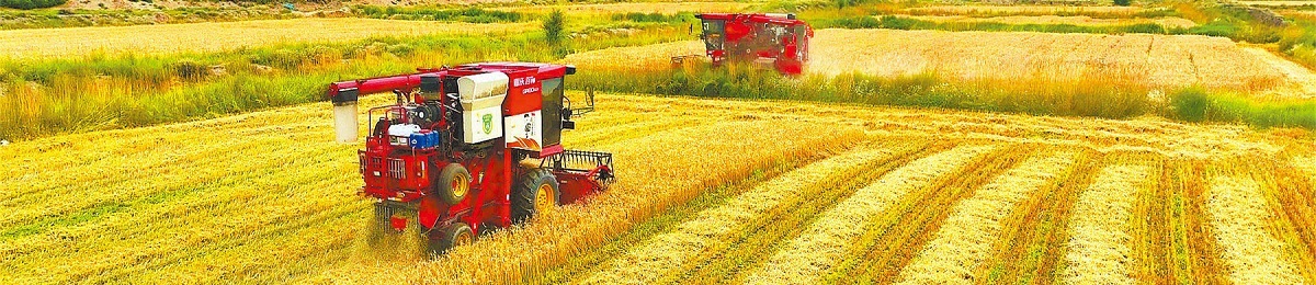 標(biāo)準(zhǔn)網(wǎng)站中心 標(biāo)準(zhǔn)網(wǎng)站中心