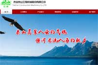 泰山工程機械股份有限公司網(wǎng)站建設(shè)