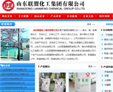 山東聯(lián)盟化工集團(tuán)有限公司網(wǎng)站建設(shè) 山東聯(lián)盟化工集團(tuán)有限公司網(wǎng)站建設(shè)