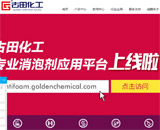 南京古田化工有限公司網(wǎng)站建設(shè)