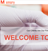 科技行業(yè)網(wǎng)站建設