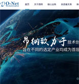 昂納信息技術(shù)(深圳)有限公司網(wǎng)站建設