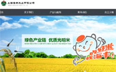 海豐米業(yè)網(wǎng)站建設(shè)