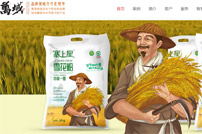 深圳萬域包裝設(shè)計公司網(wǎng)站建設(shè)