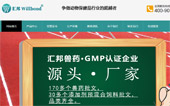 廣州市匯邦動物藥業(yè)有限公司網(wǎng)站建設