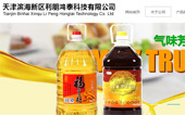 天津?yàn)I海新區(qū)利朋鴻泰科技有限公司網(wǎng)站建設(shè)