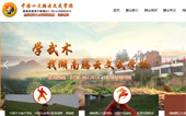 澧縣騰云文武學校網(wǎng)站建設