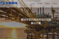 上海立新液壓有限公司網(wǎng)站建設(shè)