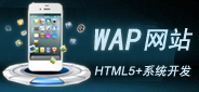 WAP網(wǎng)站開發(fā) WAP網(wǎng)站開發(fā)