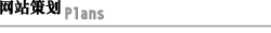 網(wǎng)站策劃 網(wǎng)站策劃